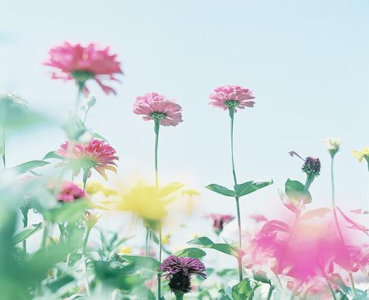 中秋节给领导的祝福语