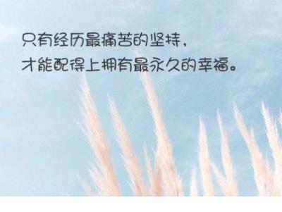 老同学聚会感言短句