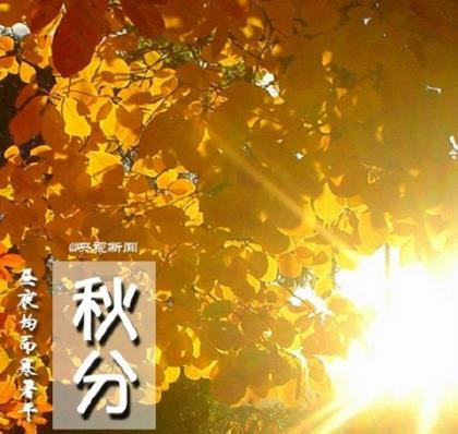 中秋节搞笑祝福短信