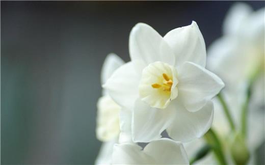 中秋节卡片祝福语有哪些 中秋节祝福语对比简短