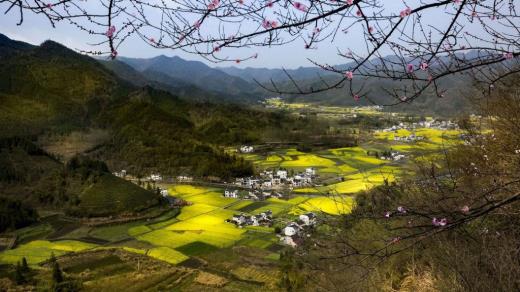 新年节日祝福语2024