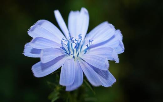 端午节短信和祝福语客户