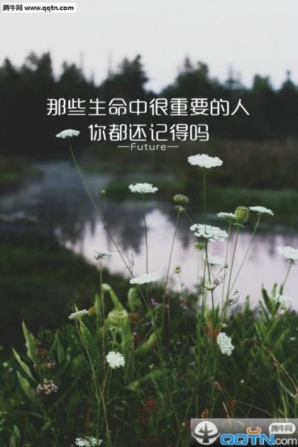 鼓励高考加油的文艺句子