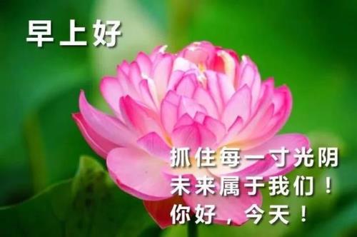 适合父亲节的标语